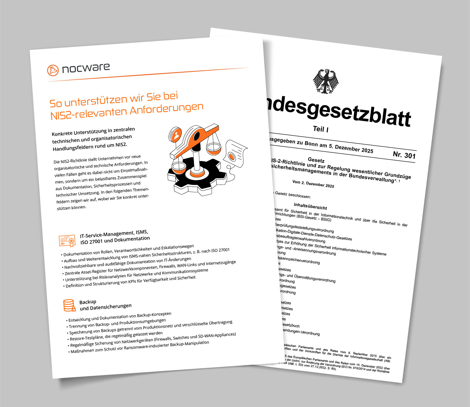 Mockup_NIS2_Gesetz_nocware_PDFs